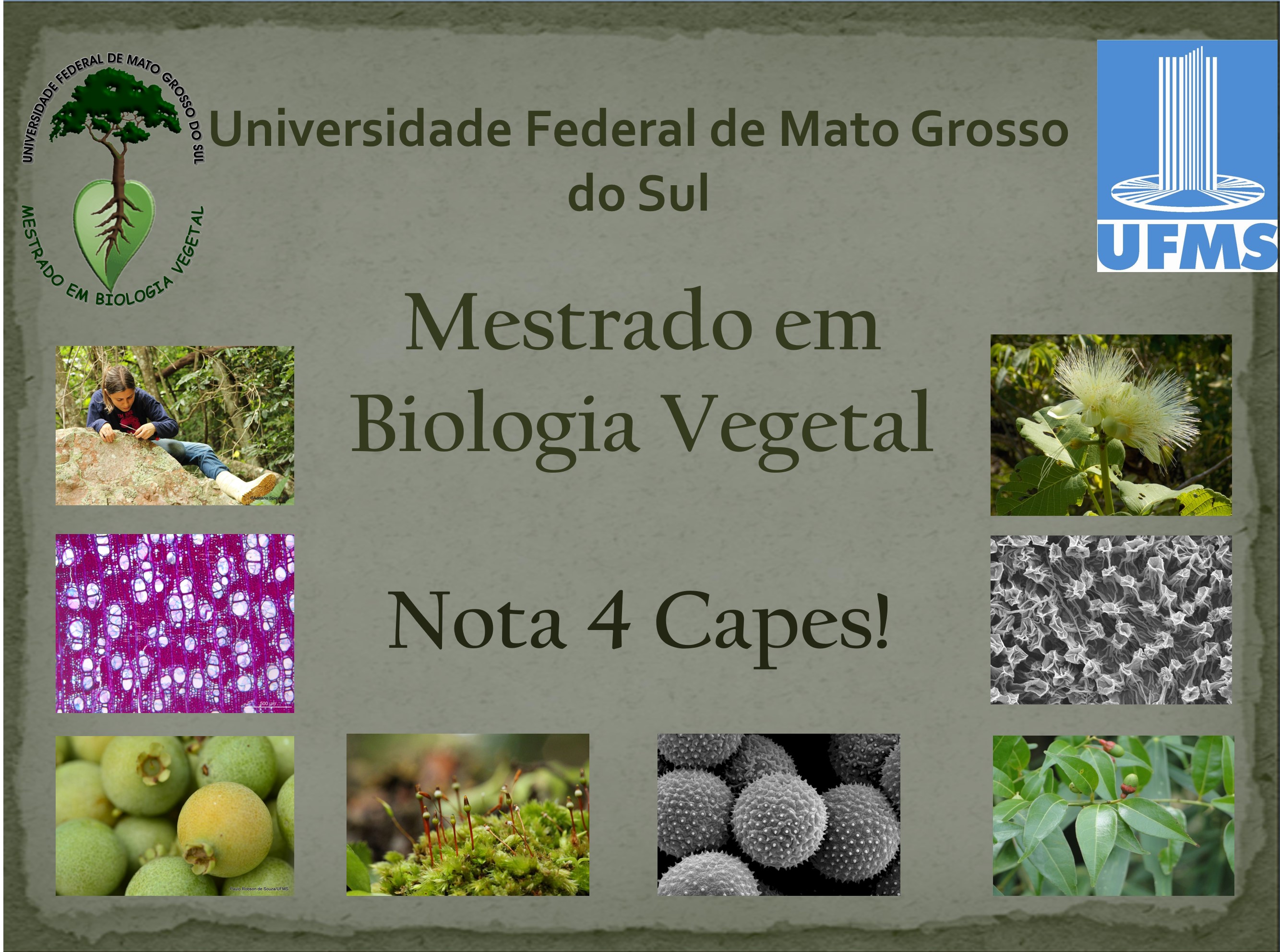 Página Inicial - Programa de Pós-Graduação em Biologia Vegetal