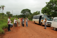 2014-11-26_Brasil-MS-Aquidauana_Botanica-Campo-32