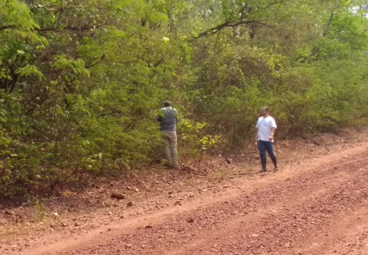 2efb6020-4c46-4449-b981-f2af0329568c