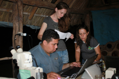 2013-10-02_MS_Corguinho_Spielmann-48