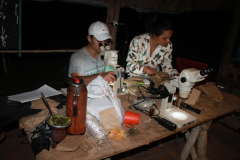 2013-10-03_MS_Corguinho_Spielmann-71