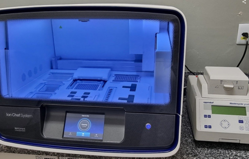 10dfc461-0050-40e6-b1eb-a62b5657ea65