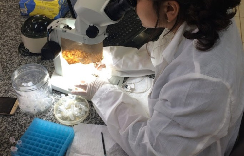 a373a371-6578-4a50-9394-81a1f1c1623b