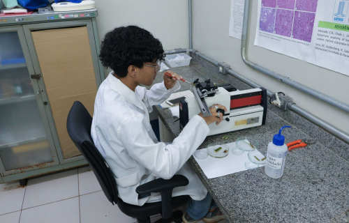 e55d3ea3-2254-46d0-b887-6feab175a380