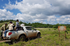 2018_Brasil_MS_Bodoquena_Botanica_Campo_UFMS_Galaxy-521