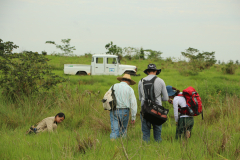 2015_Brasil-MS_PEVRI_Botanica-Campo_-11