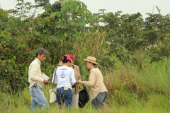 2015_Brasil-MS_PEVRI_Botanica-Campo_-17