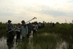 2015_Brasil-MS_PEVRI_Botanica-Campo_-285