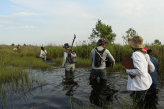 2015_Brasil-MS_PEVRI_Botanica-Campo_-287