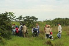 2015_Brasil-MS_PEVRI_Botanica-Campo_-44